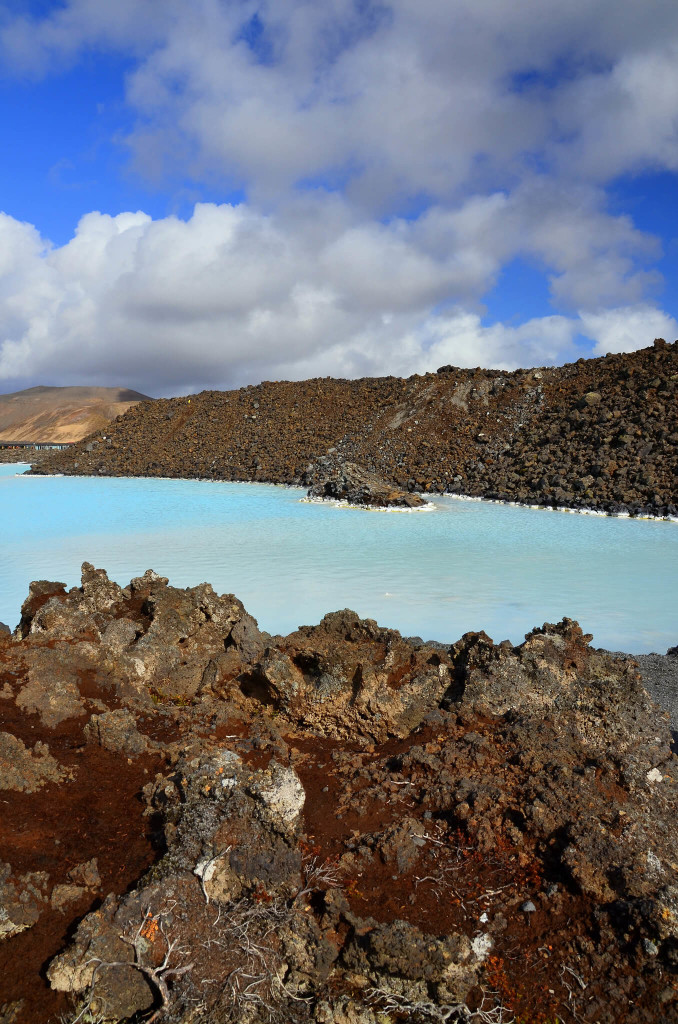 blue lagoon iceland (1)